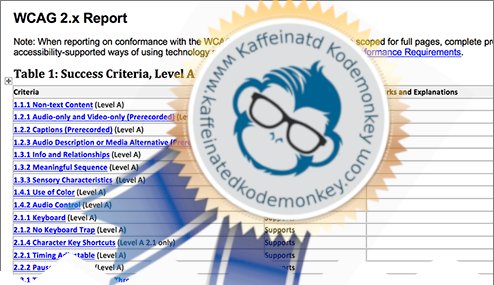 Accessibility Audit